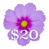 Mother's Day Gifts From $10 to $20