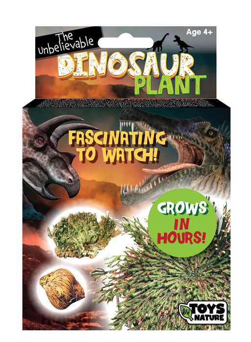 Boxed Dinosaur Plant