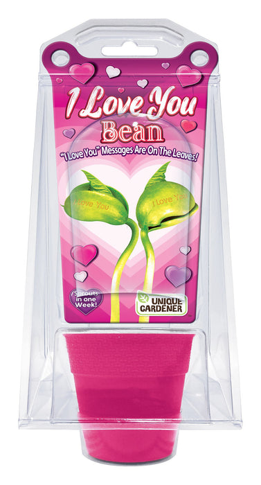I Love You Bean Grow Kit