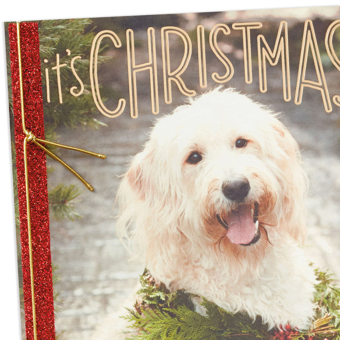 Warm and Fuzzy Holiday Wishes Cute Dog Christmas Card