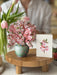 0005_7406_MiniJapaneseCherryBlossom_CloseUp_NEW-compressed