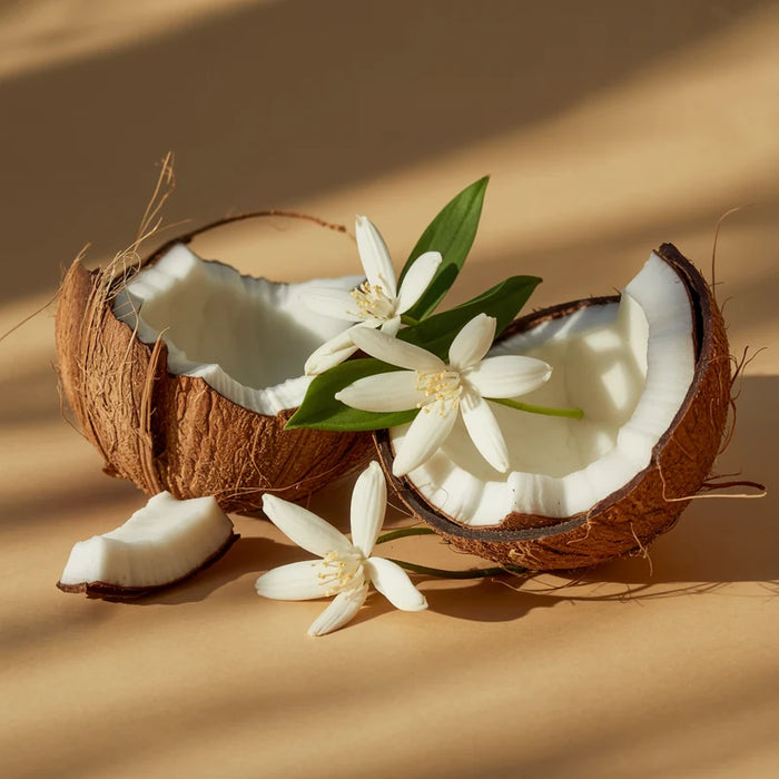 Pura Coconut Calm Fragrance Refill