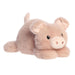 Plush pig toy on a white background