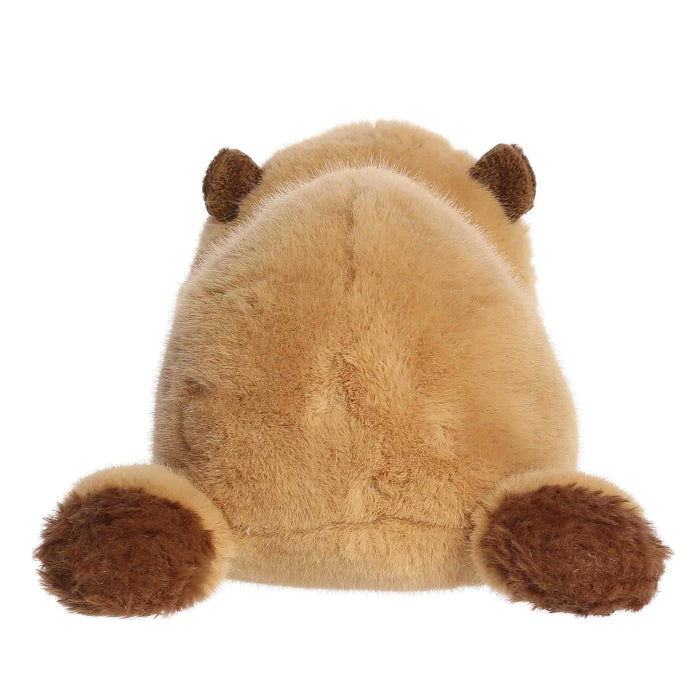 Capybara plush toy on a white background