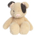 Plush toy pig on a white background