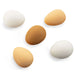 Five eggs in various colors on a white background