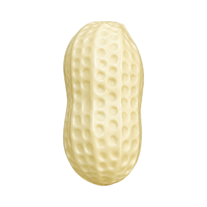 Vaseline Peanut Squishy Toy