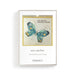 Framed artwork with a blue butterfly design and text on a white background