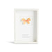 Framed butterfly art with a white background