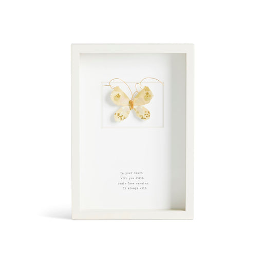 Framed butterfly art with a white background