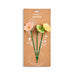 Floral-themed pencils in packaging with 'Demdaco' branding on a white background