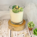 Succulent Art Candle Green