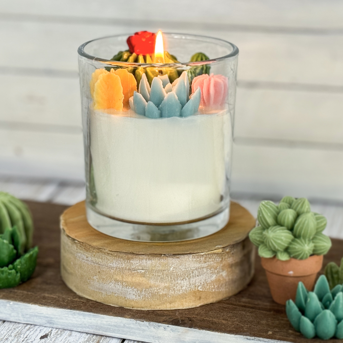 Succulent Art Candle Multi