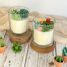 Succulent Art Candle Collection