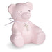 Pink teddy bear with a cross on a white background