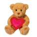 Brown teddy bear with a red heart on a white background