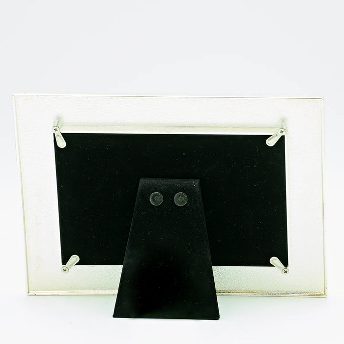 Black owl earrings on a stand with a clear acrylic display case on a white background