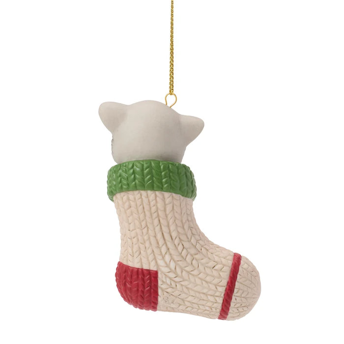 A Christmas stocking ornament shaped like a white cat sitting inside a cream-colored knit stocking with a green cuff and red toe, hanging by a gold string on a white background.