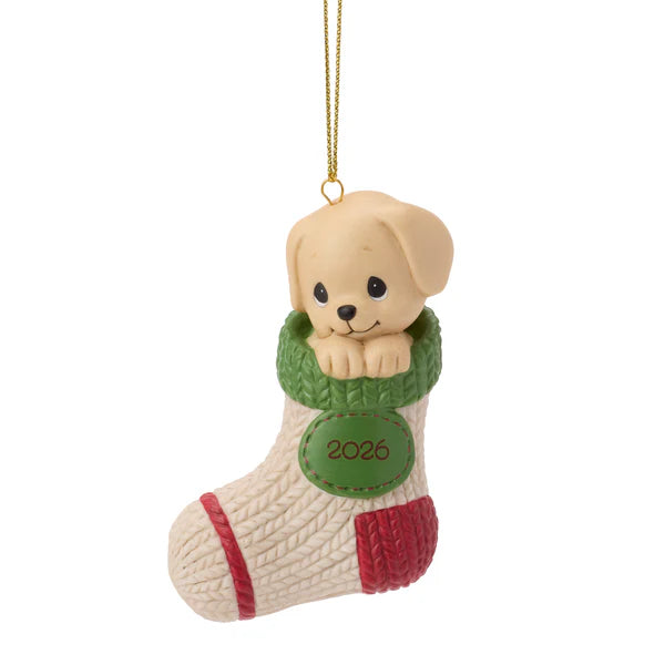 Christmas ornament of a puppy in a stocking with '2023' on a white background