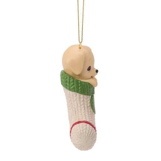 Dog ornament in a green sweater with a white background