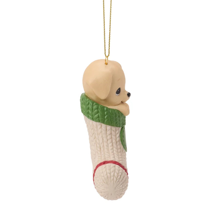 Dog ornament in a green sweater with a white background