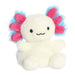 Palm Pals™ 5" Jax Bluegill Axolotl™
