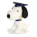 Plush toy of a dog wearing a graduation cap and tassel on a white background
