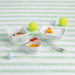 Pet toys and treats on a striped green and white background