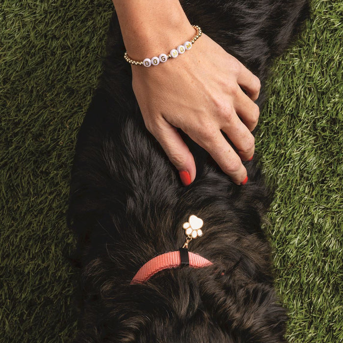 Person petting a black dog on green grass