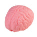 Pink brain-shaped object on a white background