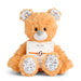 Plush teddy bear with a soccer-themed tag on a white background