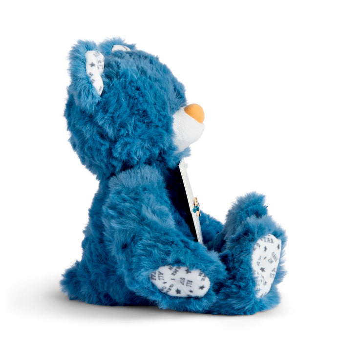 Blue teddy bear with a white shirt and black tie on a white background
