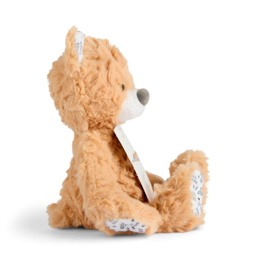 Plush toy dog with a white muzzle on a white background