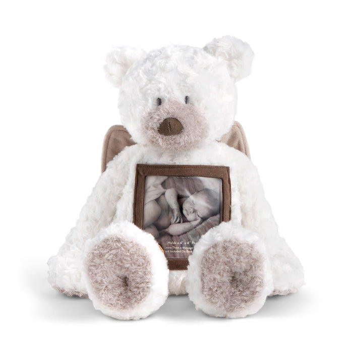 Plush teddy bear with a photo frame embedded in its body on a white background
