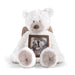 Plush teddy bear with a photo frame embedded in its body on a white background