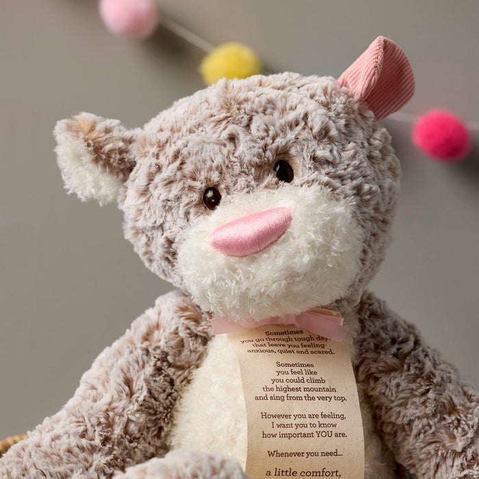 Plush teddy bear with a message tag on a neutral background