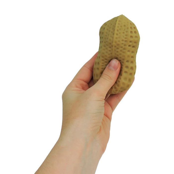 Hand holding a brown textured object against a white background