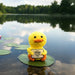 Yellow crotchet duck toy with a message on a leaf in a lake