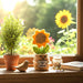 Sunflower-themed knitted decoration on a windowsill with plants and a book in the background.