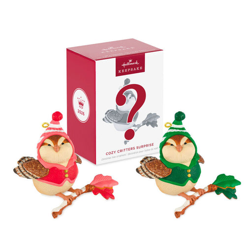 Two bird figurines in festive outfits with a mystery box in the background.