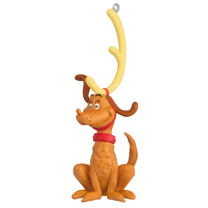 Max the Reindeer Dog on a white background