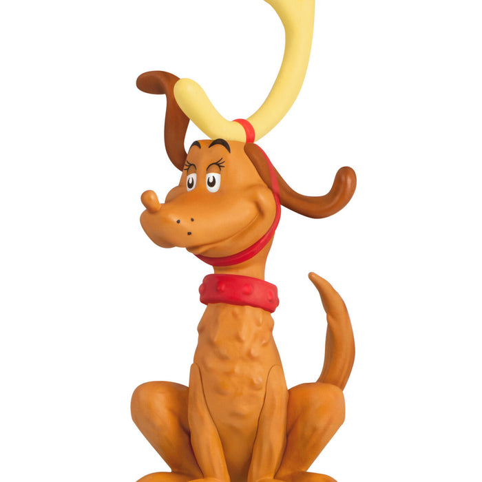 Max the Reindeer Dog on a white background