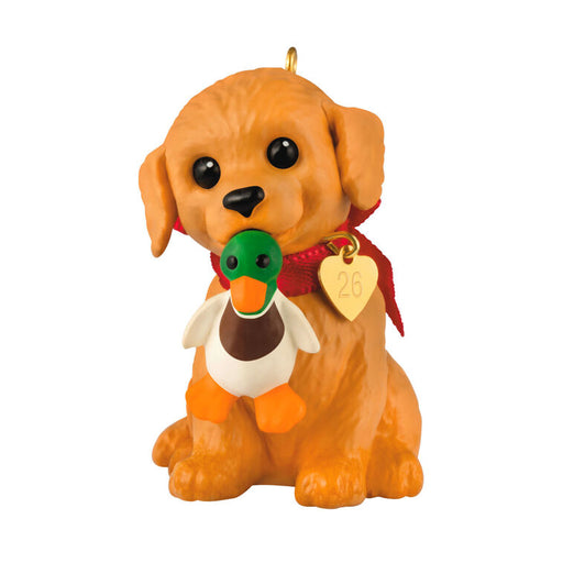 Dog ornament with a duck and heart tag on a white background