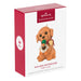 Hallmark Golden Retriever ornament packaging on a white background