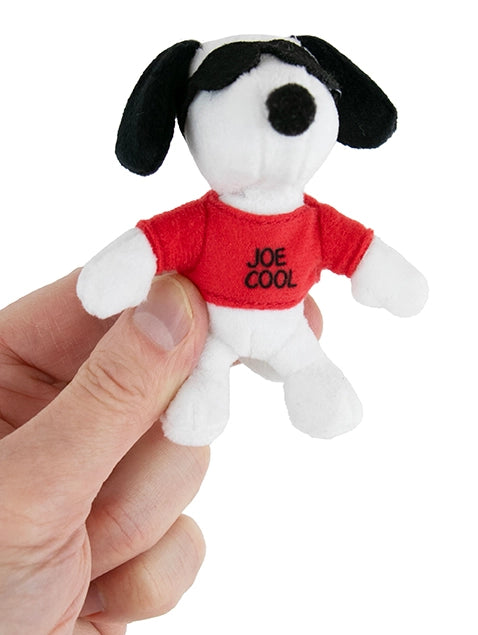 Small plush dog toy with a red shirt labeled 'Joe Cool' held in a hand against a white background