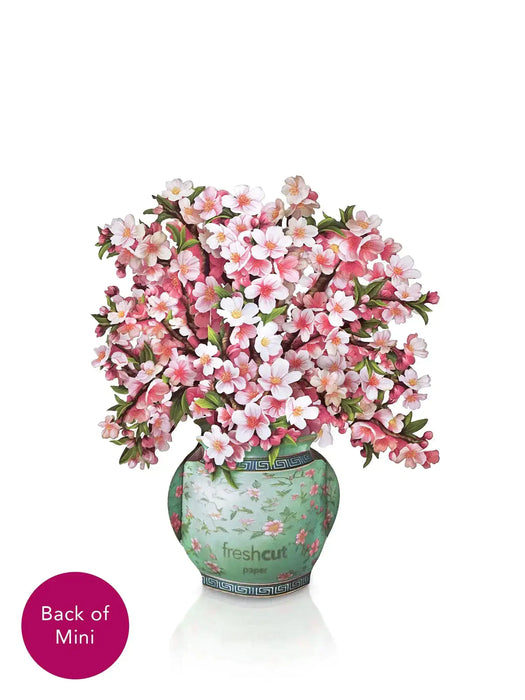 7434_Mini-Japanese-Cherry-Blossoms_Back-Silo_Web-compressed