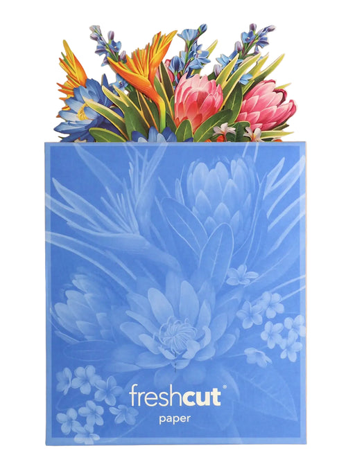 7452_Mini-Tropical-Paradise_Envelope-compressed