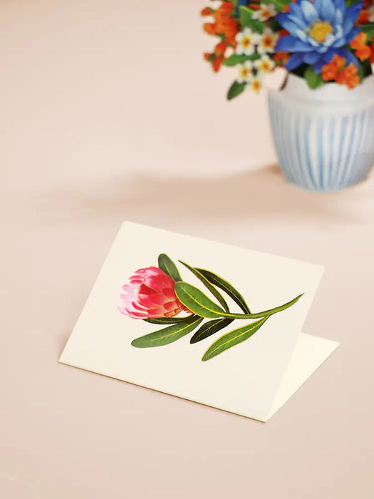 7452_Mini-Tropical-Paradise_Notecard_150RGB-compressed