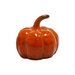 Orange Ceramic Harvest Pumpkin