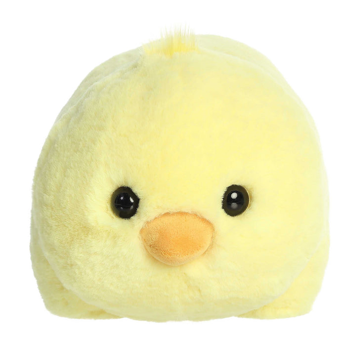 Plush toy chick on a white background